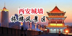 男生的屌插到女生的屌里面二二视频下载中国陕西-西安城墙旅游风景区