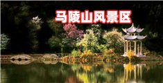 操性感美女逼视频网站